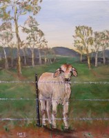 /album/eve-jorgensen-art/calf-at-the-fence-jpg/